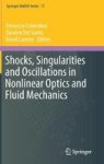 Shocks Singularities And Oscillations In Nonlinear Optics And Fluid Mechanics 2017 Hardcover 1ST Ed. 2017