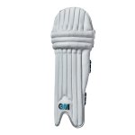 Gm Diamond Youth Cricket Pads