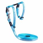 Sparklecat H-harness And Lead Extra Small Turquoise Waggs Pet Shop