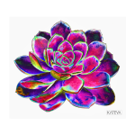 DR6 Art Print - 25 W X 22 H Cm