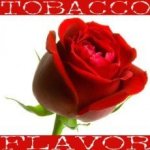 Rose Tobacco Concentrate - 10ML