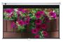 Jk 133" 2860 X 1790MM 16:10 Manual Pulldown Screen
