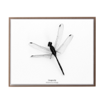 Dragonfly II Art Print - A3
