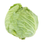 Medium Cabbage Head