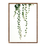 String Of Pearls III Art Print - A4