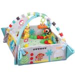 Activity Gym & Ball Pit
