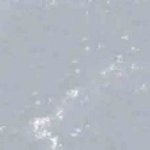 Soft Pastel - Warm Gray 455