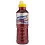 Energade Grape 500ML - 24
