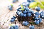 Blueberry Concentrate - 50ML