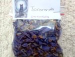 Jacaranda Tree Flowers