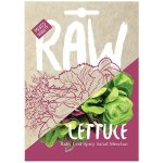 Lettuce Spicy Salad Mesclun Seeds