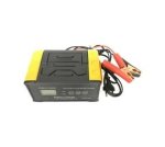 12V 24V Car Speed Battery Charger Q-DP915