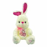 Plush Love Bunny With 8 Hearts 30CM