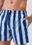 Striped Mid Length Swim Shorts