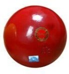 Shot Putt Turned 5KG Athletics Equipment
