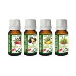 Dry Skin | CARRIER OILS MINI Collection