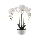 Real Touch Potted White Orchid Plant