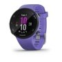 Garmin Forerunner 45S Gps Running Smartwatch Iris