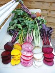 Beetroot Rainbow Mix Seed - 20 G Raw Seed