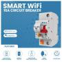 Smart Circuit 16A Breaker Vizia