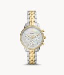 Fossil Neutra Chronograph Two-tone Stainless Steel Watch