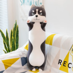 Noodles The Husky - 2KG