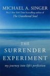 The Surrender Experiment - My Journey Into Life& 39 S Perfection Paperback