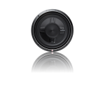Rockford Fosgate P3SD2-12 Punch 12 P3S Shallow 2-OHM Dvc Subwoofer