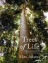 Trees Of Life   Paperback