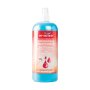 Hand Sanitizer 1L Refill