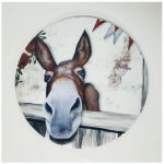 Salad Bowl Cover Charlie