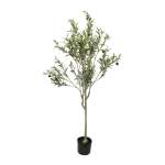 Olive Tree - 210CM
