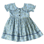 Baby Girl Blue Floral Dress