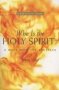 Who Is The Holy Spirit? - A Walk With The Apostles   Paperback