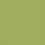 Text. Cardstock - Leaf/olive Grove 12X12 216GSM 10 Sheets