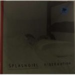 Hibernation Vinyl Record