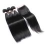 BLKT 10 Inches X3 Bundles Human Hair Weaves And Closure