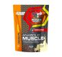 908G Anabolic Muscle Stack