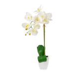 @home Potted Orchid Curved Stem White 68CM