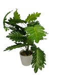 Plant In Pot 60CM