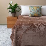 Pandora Mink 1PLY Queen Blanket - Brown