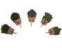 Fino Cactus Pot Plant Ceramic Wall Hooks - Set Of 5