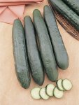 Cucumber Garden Sweet Burpless Seed - 1 G Raw Seed