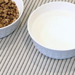Cushioned Litter Mat