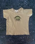Cotton On Brown Stegosaurus T-Shirt 3 6M