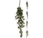 Hanging Plant 4ASS Design