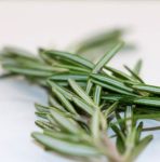 Rosemary 20G P