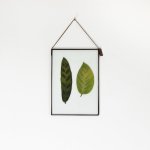 Velt Botanical Frame - Mixed Foliage - 14.8CM X 21CM - A5