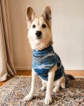 Blueberry Camo Dog Jersey - XS