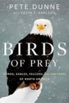 Birds Of Prey - Hawks Eagles Falcons And Vultures Of North America Hardcover
